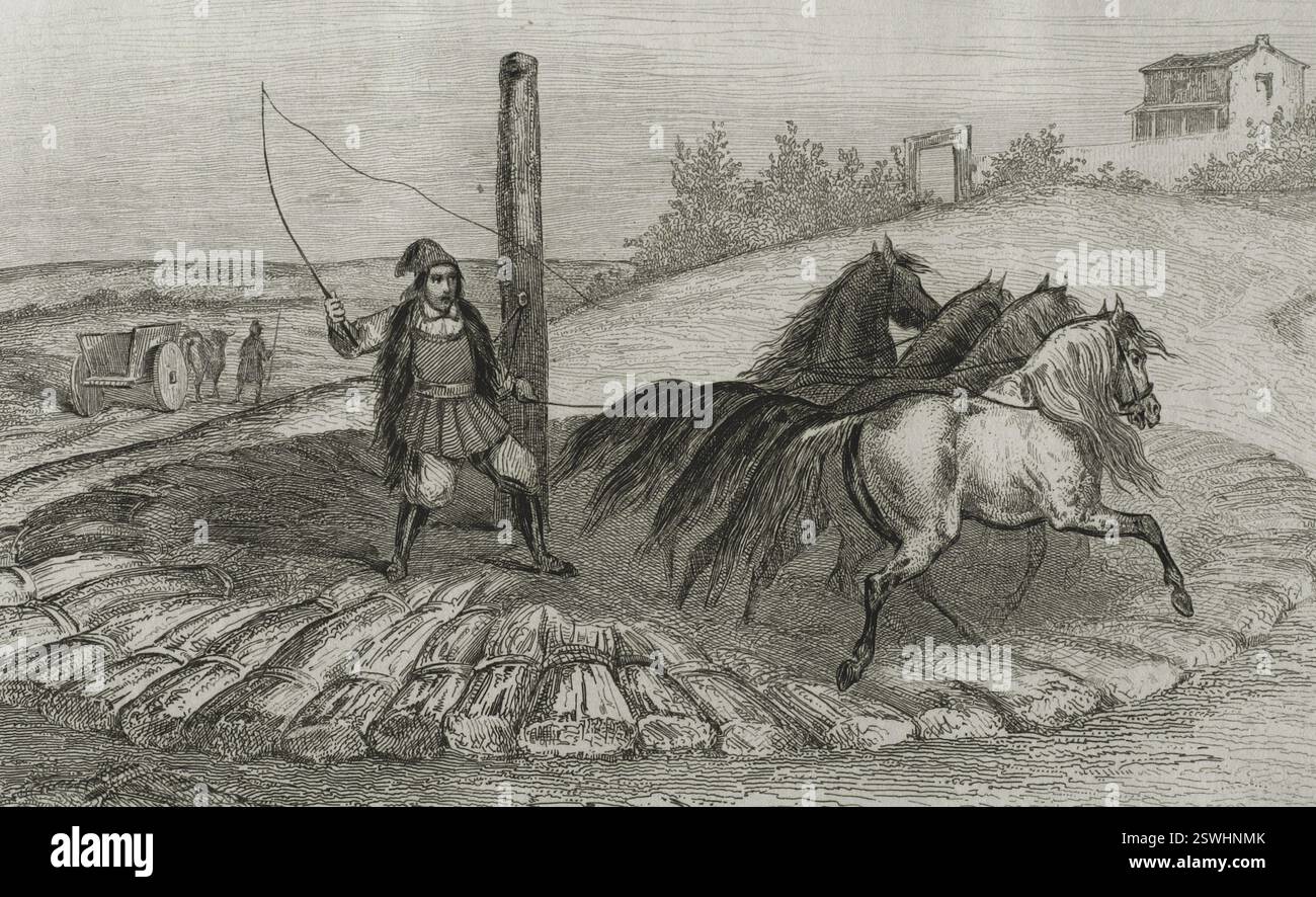 Sardegna. Trebbiatura del grano. Incisione di Chaillot. LeMaitre direxit. Storia di Malta e Gozo, di Frédéric Lacroix. Panorama Universal, edizione spagnola, stampato a Barcellona, 1850. Foto Stock