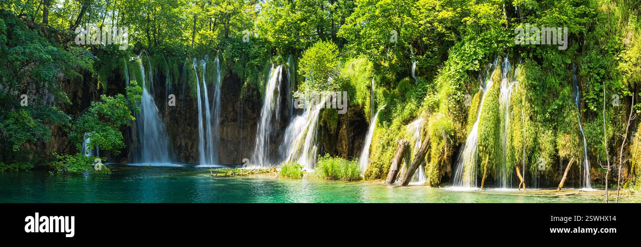 Foreste primordiali e cascate che cadono nel Parco Nazionale dei Laghi di Plitvice, Croazia Foto Stock