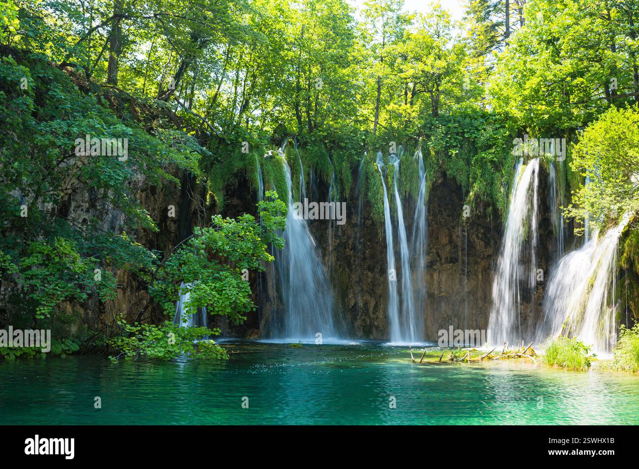 Foreste primordiali e cascate che cadono nel Parco Nazionale dei Laghi di Plitvice, Croazia Foto Stock