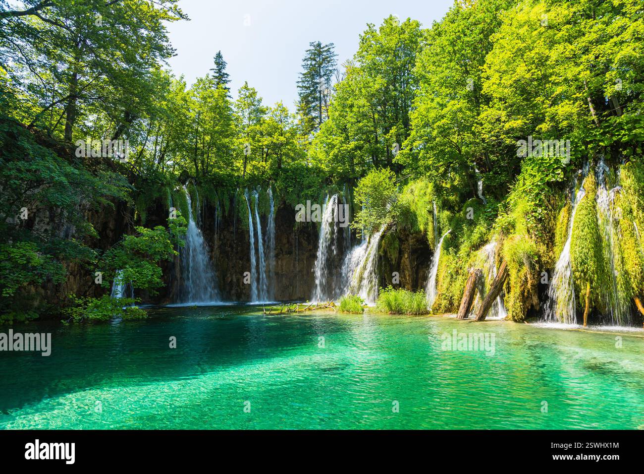 Foreste primordiali e cascate che cadono nel Parco Nazionale dei Laghi di Plitvice, Croazia Foto Stock