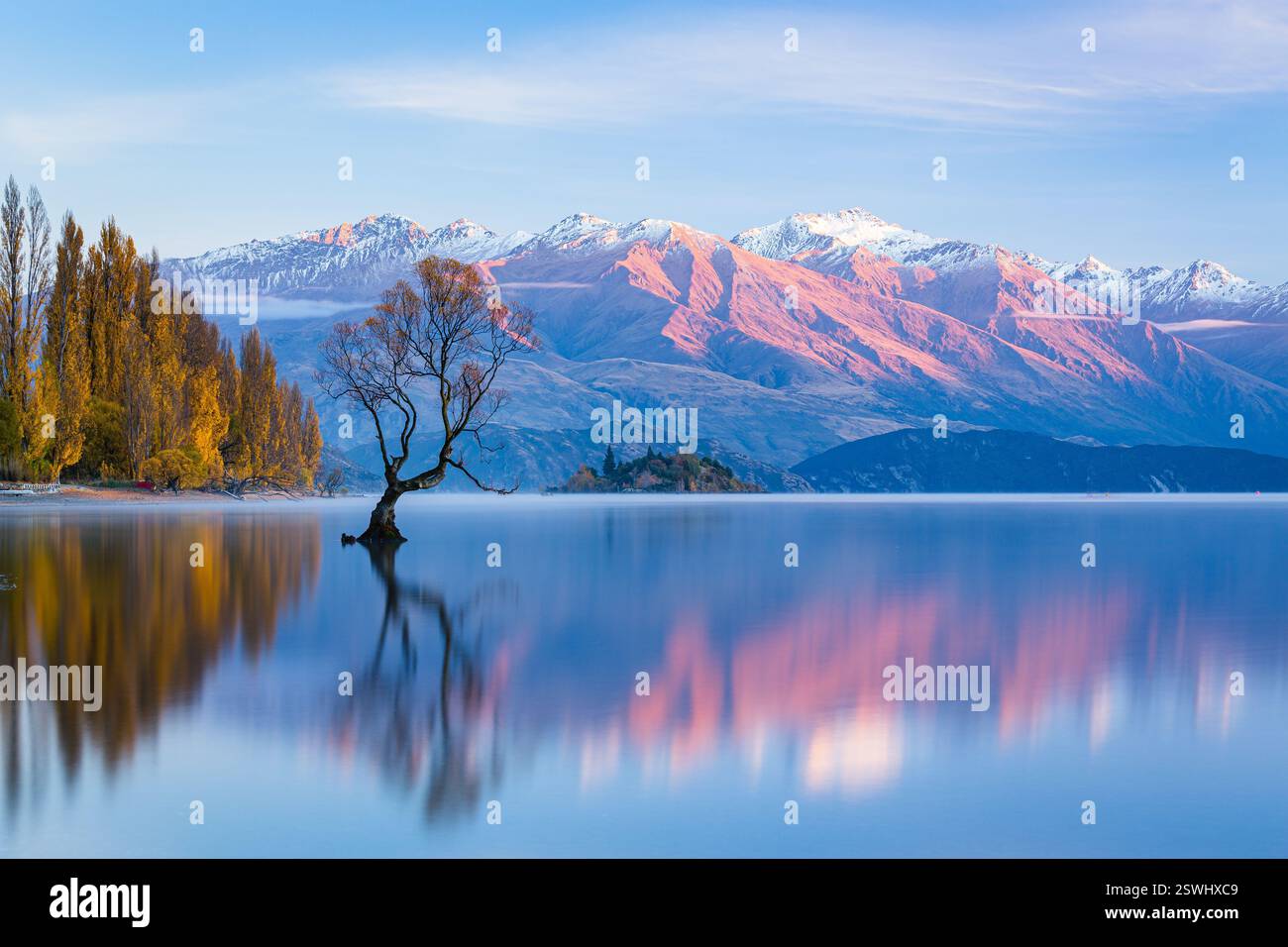 Wanaka Tree, Southern Alps e foglie autunnali sul lago Wanaka in nuova Zelanda Foto Stock