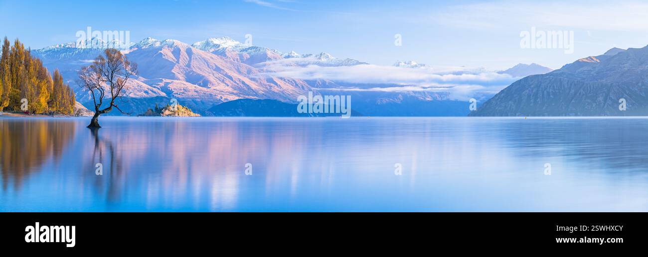 Wanaka Tree, Southern Alps e foglie autunnali sul lago Wanaka in nuova Zelanda Foto Stock