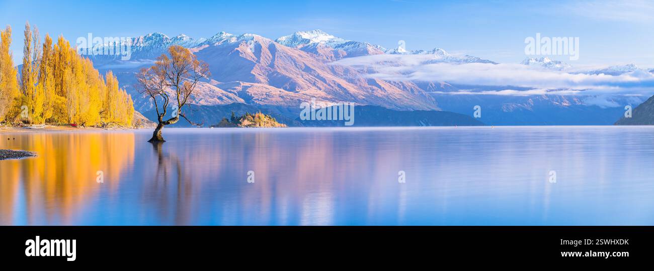 Wanaka Tree, Southern Alps e foglie autunnali sul lago Wanaka in nuova Zelanda Foto Stock