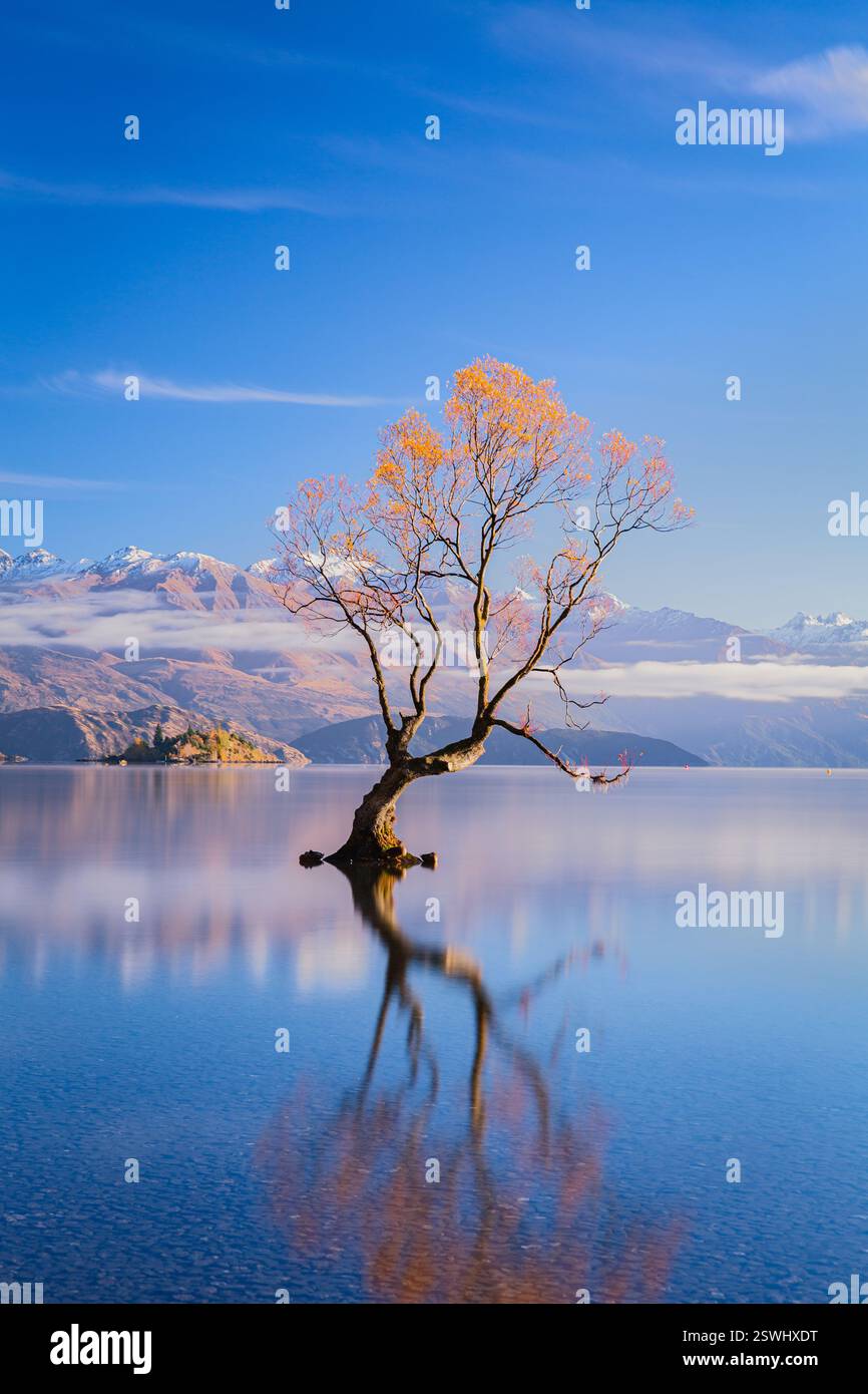 Wanaka Tree, Southern Alps e foglie autunnali sul lago Wanaka in nuova Zelanda Foto Stock