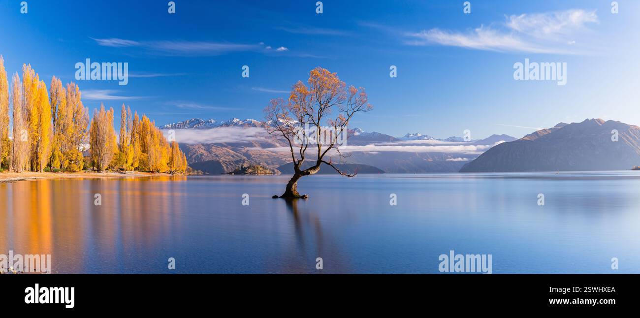 Wanaka Tree, Southern Alps e foglie autunnali sul lago Wanaka in nuova Zelanda Foto Stock