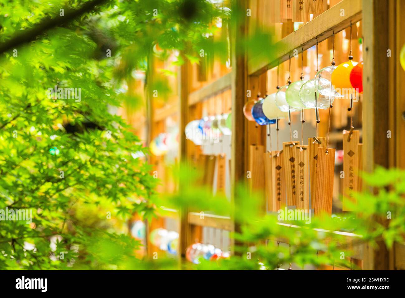 Campanelli a vento al santuario Kawagoe Hikawa, Kawagoe City, prefettura di Saitama, Giappone Foto Stock