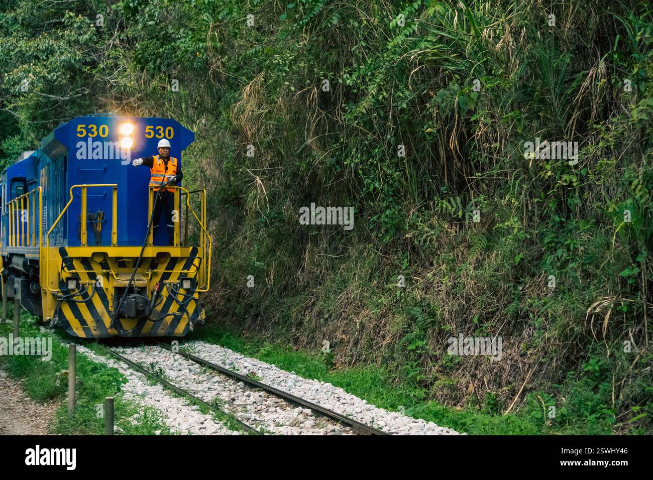 Viaggio panoramico in treno a Machu Picchu con il treno che passa attraverso la giungla Foto Stock