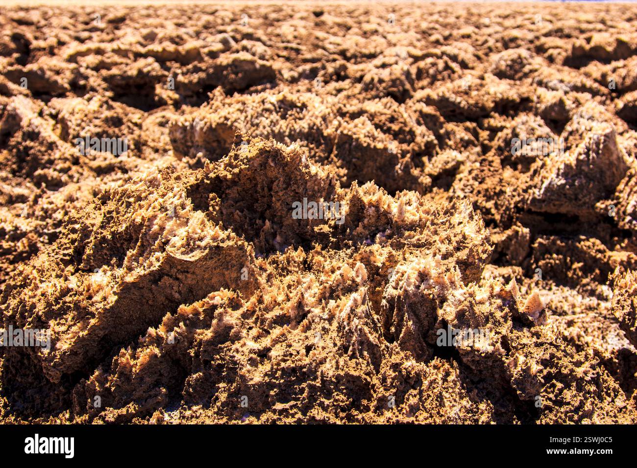 Campo di terra con rocce e sporcizia. Lo sporco è marrone e le rocce sono piccole. Il campo è vuoto Foto Stock