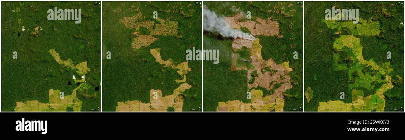 Immagini satellitari di deforestazione su larga scala in un'area di ranch in una parte remota del nord di Para, Brasile, alla periferia occidentale della città di Sao Felix de Xingu. Dopo che le foreste sono state sgomberate, gli alberi abbattuti e i cespugli sono generalmente lasciati asciugare. Quando arriva la stagione secca, iniziano a verificarsi incendi in queste aree sgombre. Dopo che il legno si trasforma in cenere, i rancher distribuiscono i semi d'erba per stabilire pascoli per il bestiame. Foto Stock