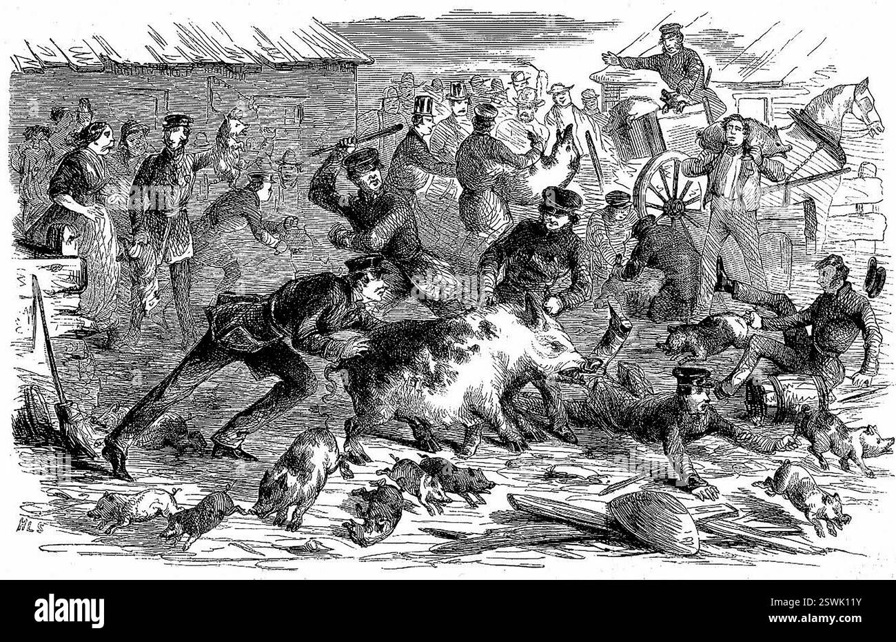 La polizia, sotto la direzione dell'ispettore Downing, ha liberato i porcellini di Bernard Riley. Frank Leslie's Illustrated News, 13 agosto 1859. Un'epidemia di colera nel 1849 portò a nuove regole che, nel 1859, vietarono i maiali nel centro di Manhattan. Dopo questo, nessun allevamento di suini poteva operare a nord dell'attuale 86th Street. La resistenza portò a "Piggery Wars" tra proprietari e ispettori. Foto Stock