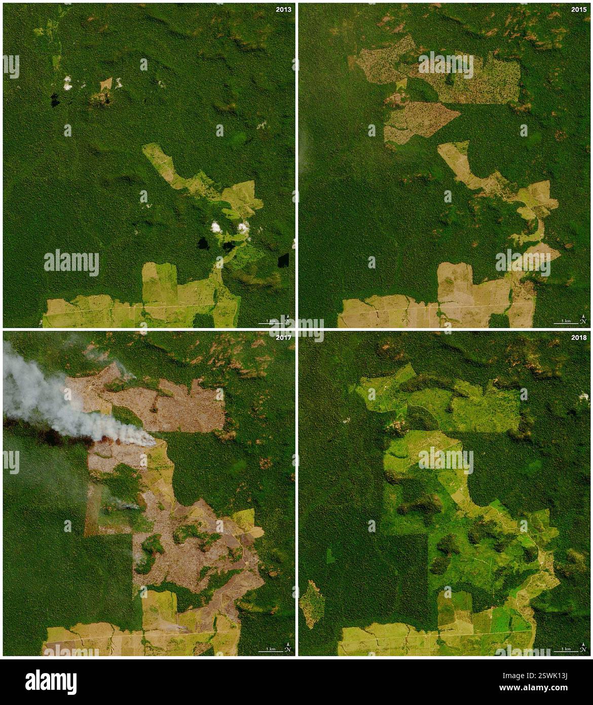 Immagini satellitari di deforestazione su larga scala in un'area di ranch in una parte remota del nord di Para, Brasile, alla periferia occidentale della città di Sao Felix de Xingu. Dopo che le foreste sono state sgomberate, gli alberi abbattuti e i cespugli sono generalmente lasciati asciugare. Quando arriva la stagione secca, iniziano a verificarsi incendi in queste aree sgombre. Dopo che il legno si trasforma in cenere, i rancher distribuiscono i semi d'erba per stabilire pascoli per il bestiame. Foto Stock