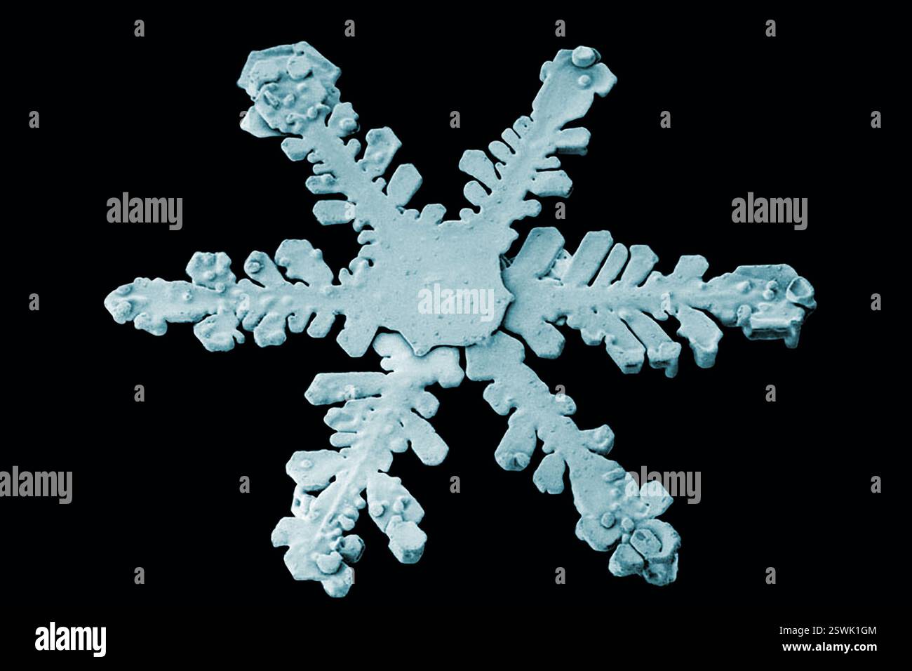 Fiocco di neve sotto forma di dendrite esagonale ordinaria. L'immagine è stata ottenuta utilizzando un microscopio elettronico a scansione a bassa temperatura (LT-SEM). Foto Stock