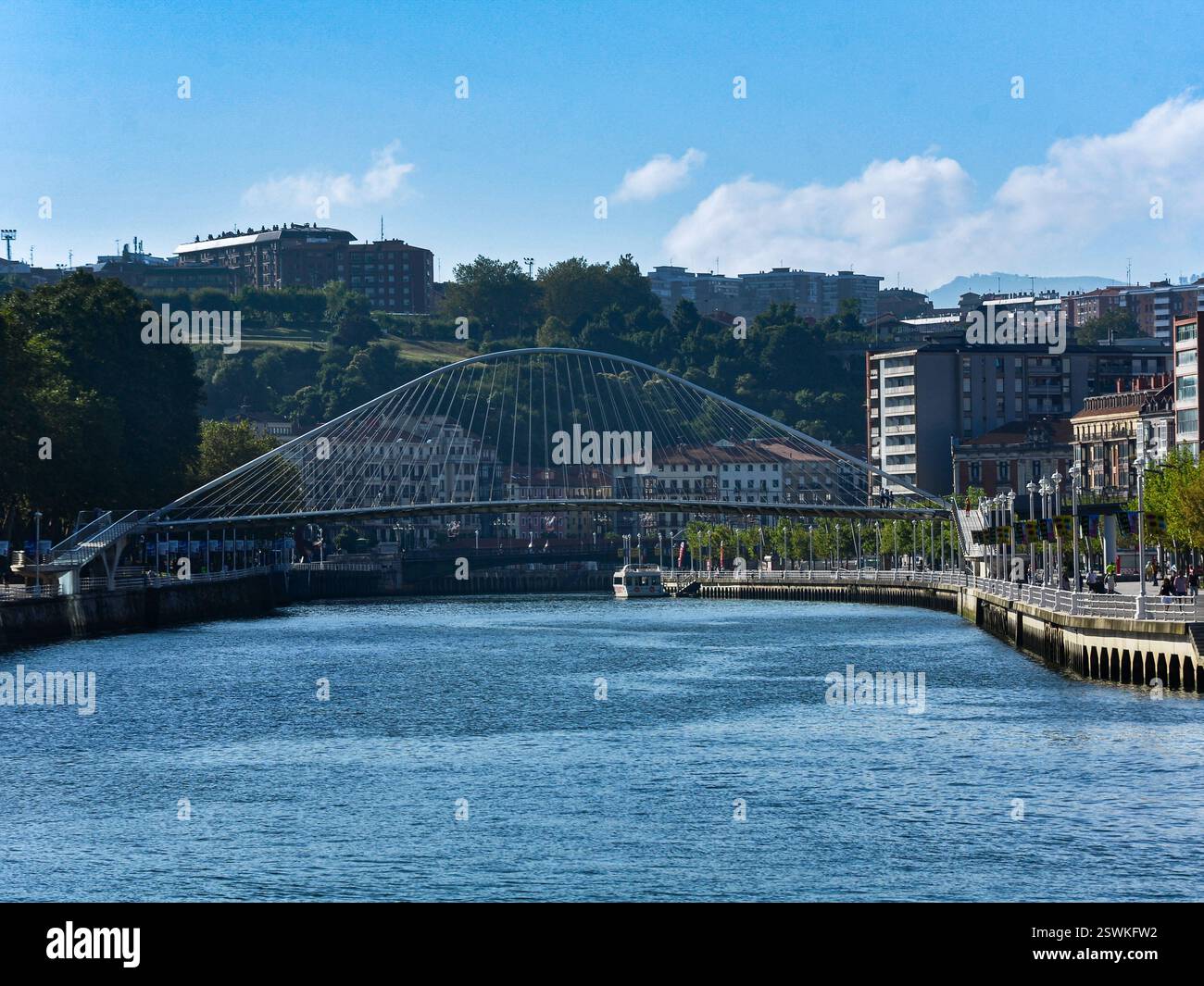 Eleganza da volo: L'iconico ponte Zubizuri di Bilbao Foto Stock