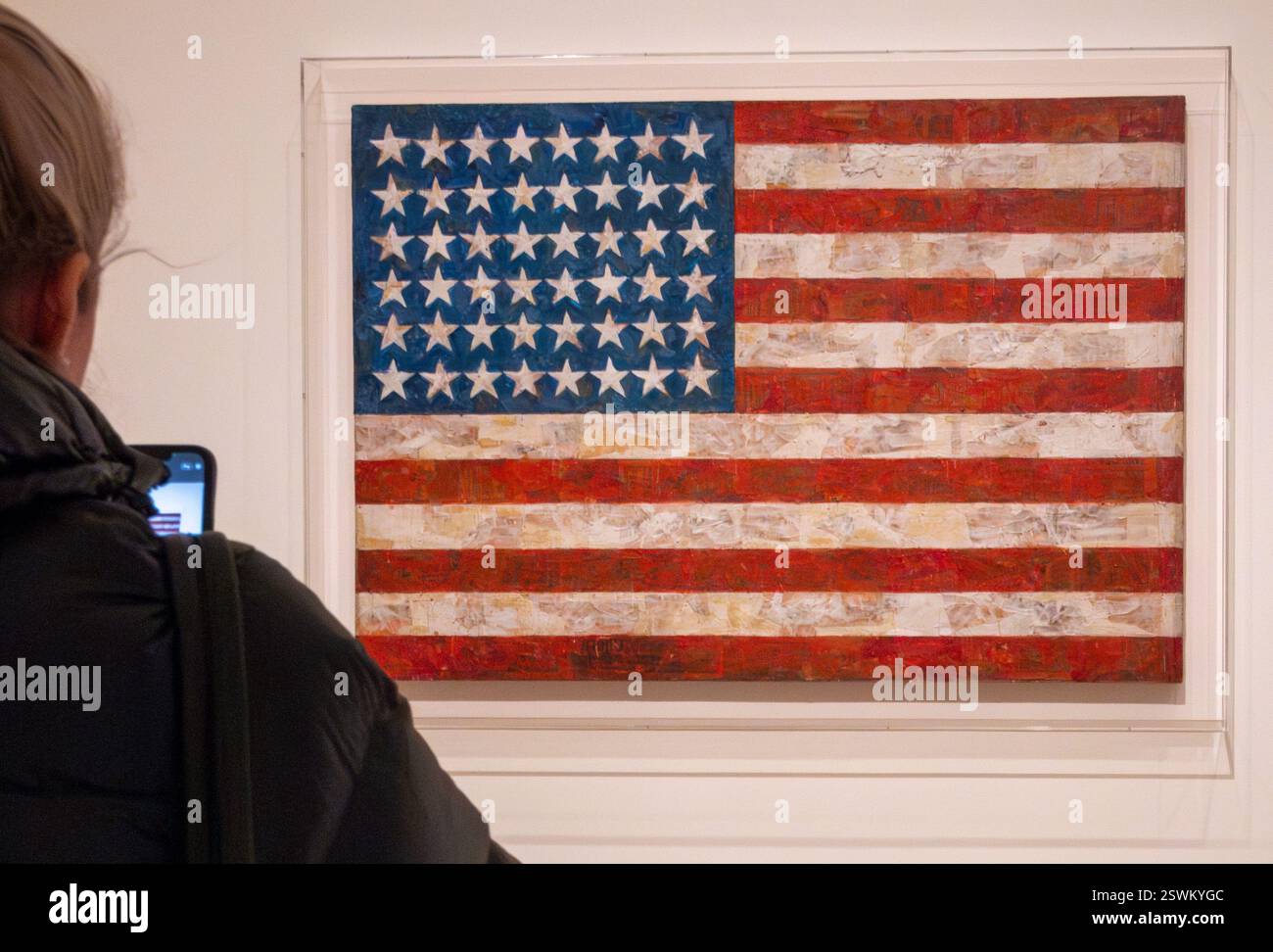 Spettatore che fotografa Jasper Johns, bandiera, pittura ad olio, encausto e tessuto su tre pannelli, 1954, il Museum of Modern Art, New York City, USA Foto Stock