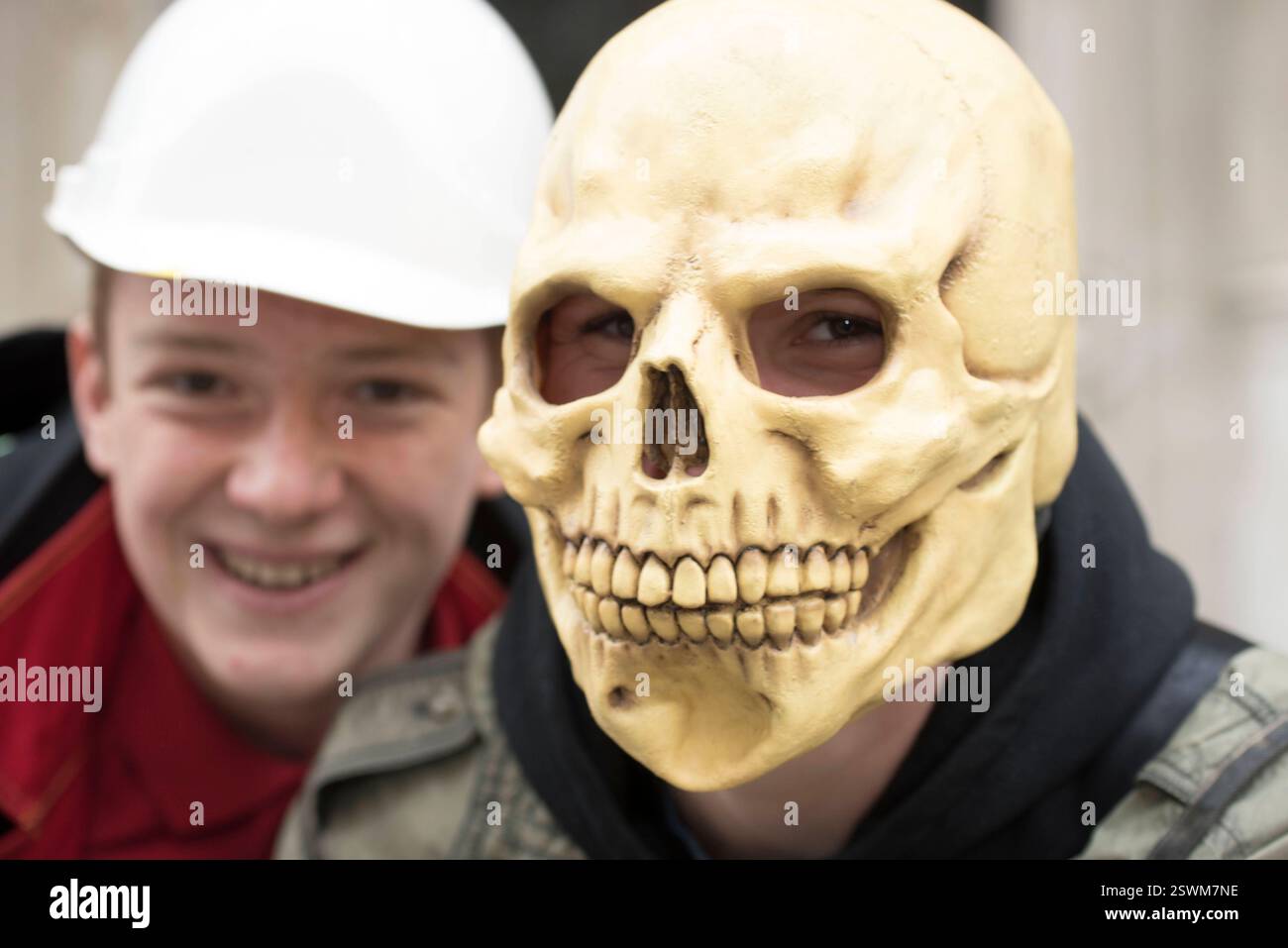 un cranio, simbolo delle ossa di una testa umana, un cranio, una testa di un umano Foto Stock