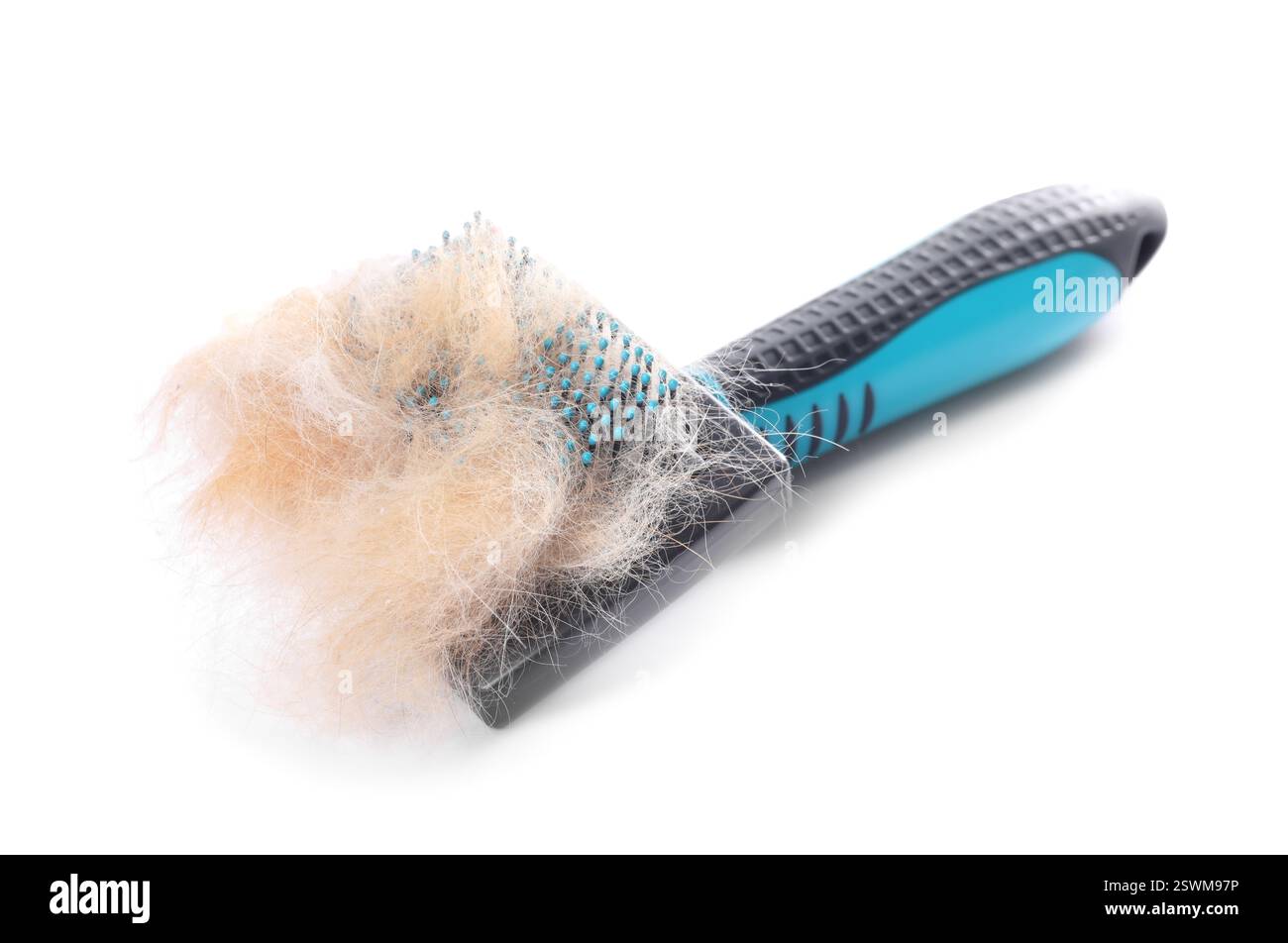 Spazzola per la cura del corpo con i peli di animali isolati su bianco Foto Stock
