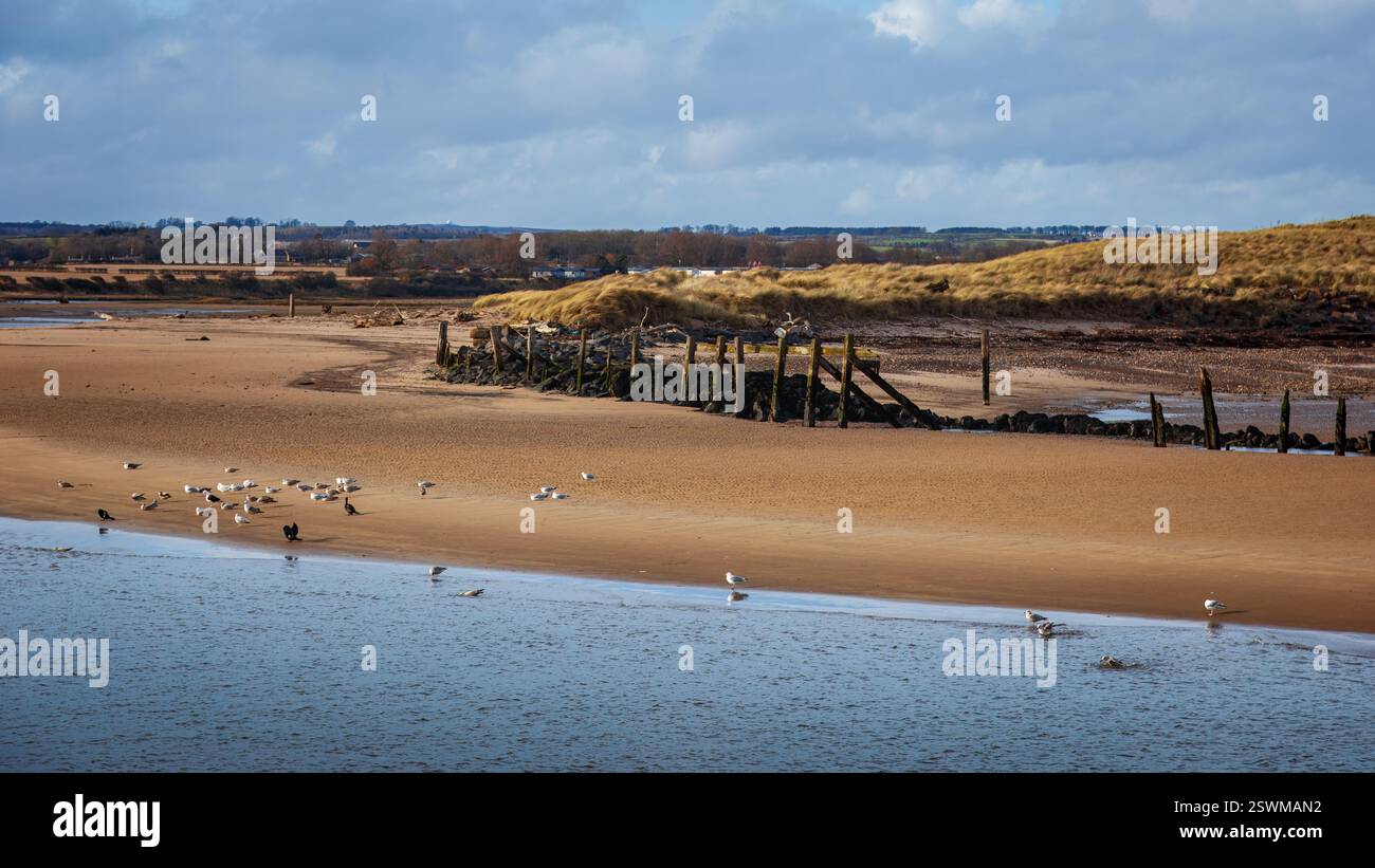 Amble Braid, Harbour e Warkworth Castle Foto Stock