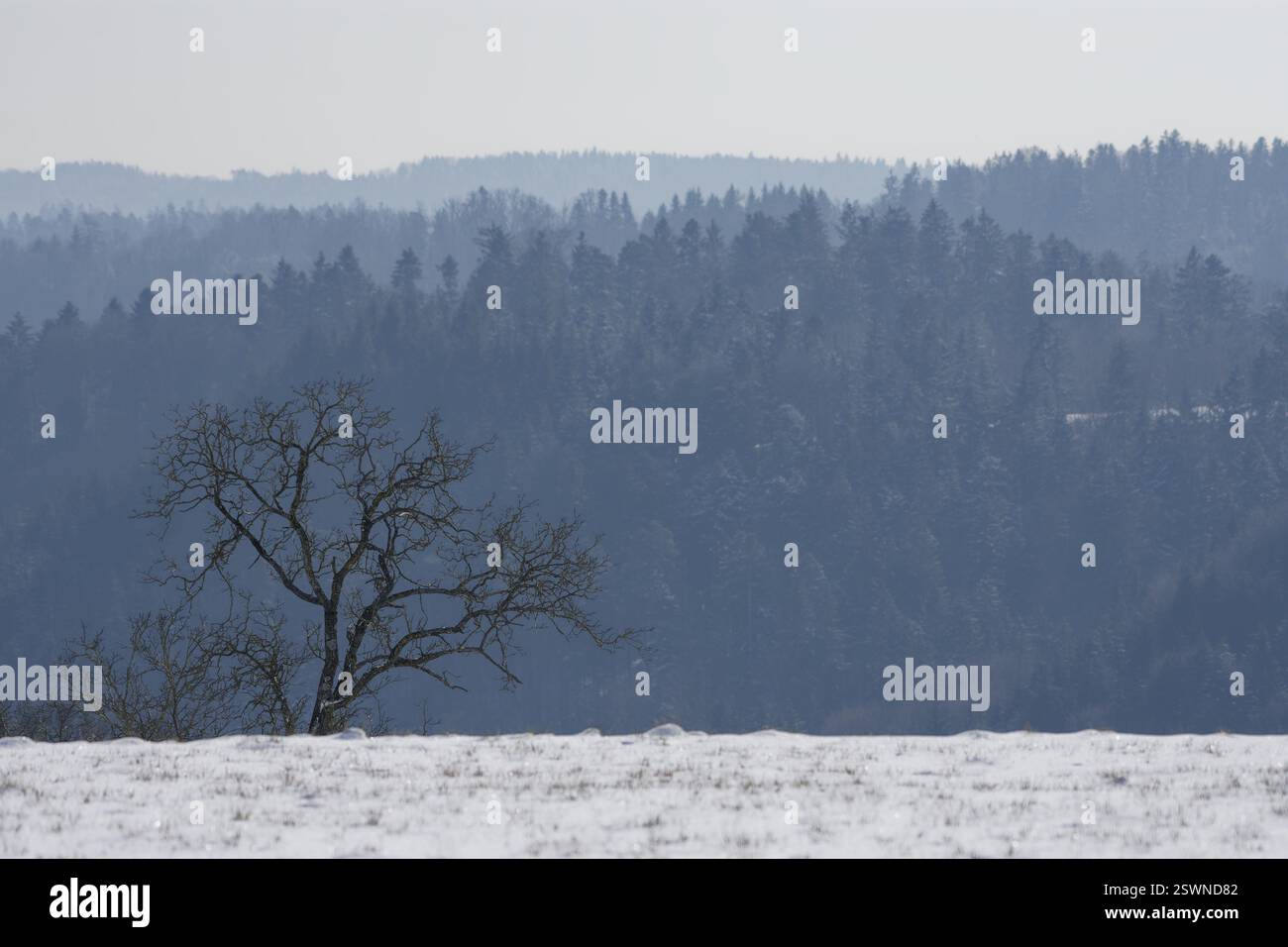 Vista del parco naturale coperto di neve della foresta sveva-Franconia nella valle del Rottal vicino a Oberrot, Germania, Europa Foto Stock