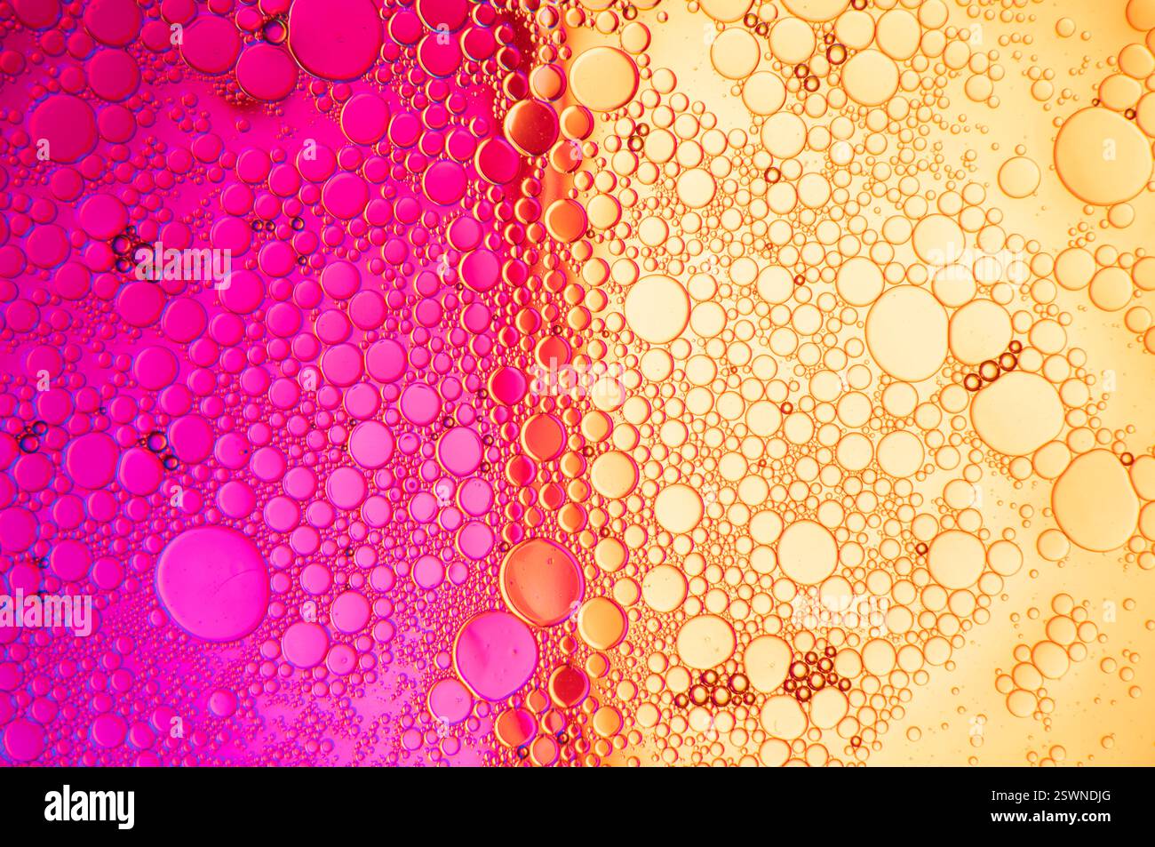 Composizione astratta con gocce d'acqua e olio su sfondo bicolore magenta e arancione Foto Stock