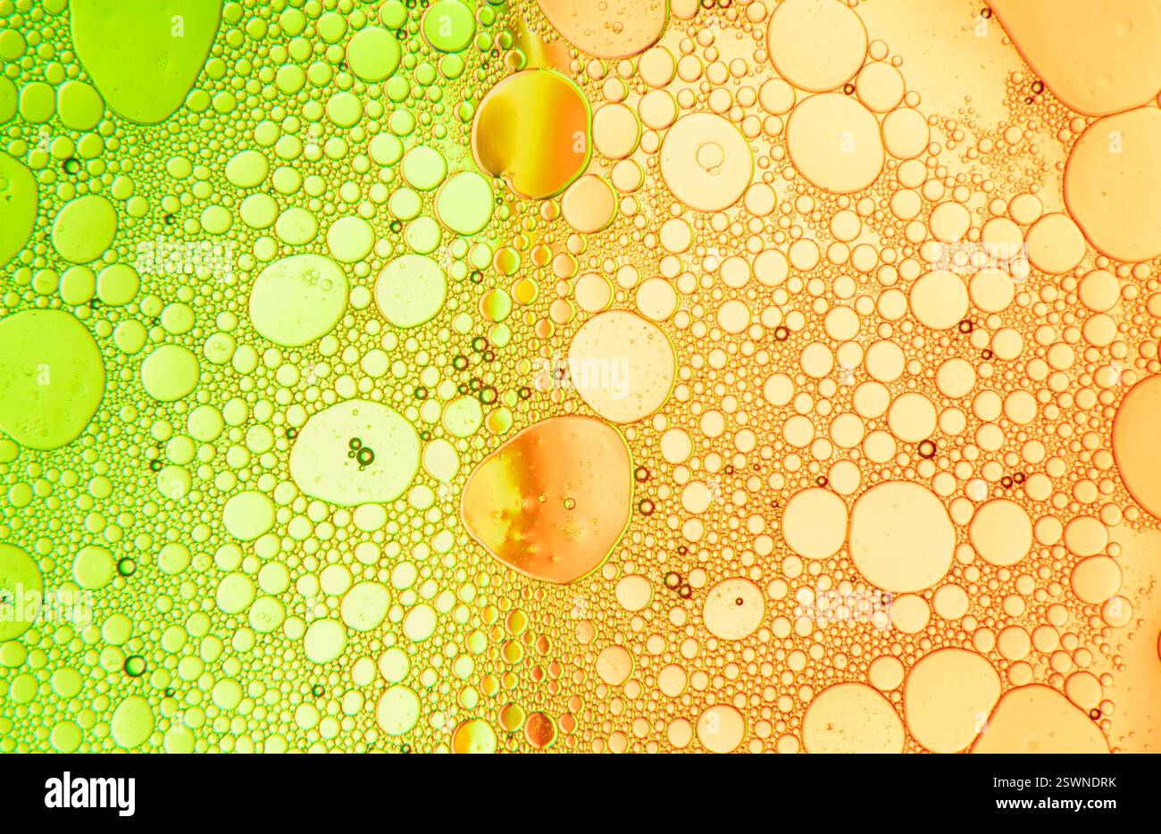 Composizione astratta con gocce d'acqua e olio su sfondo verde e arancione a due tonalità Foto Stock