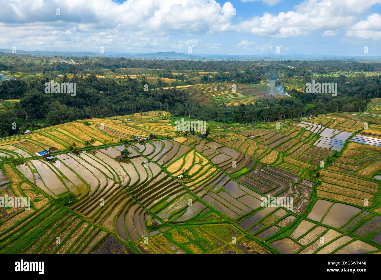 Terrazza di riso Jatiluwih, sito patrimonio dell'umanità dell'UNESCO a Bali, Indonesia Foto Stock