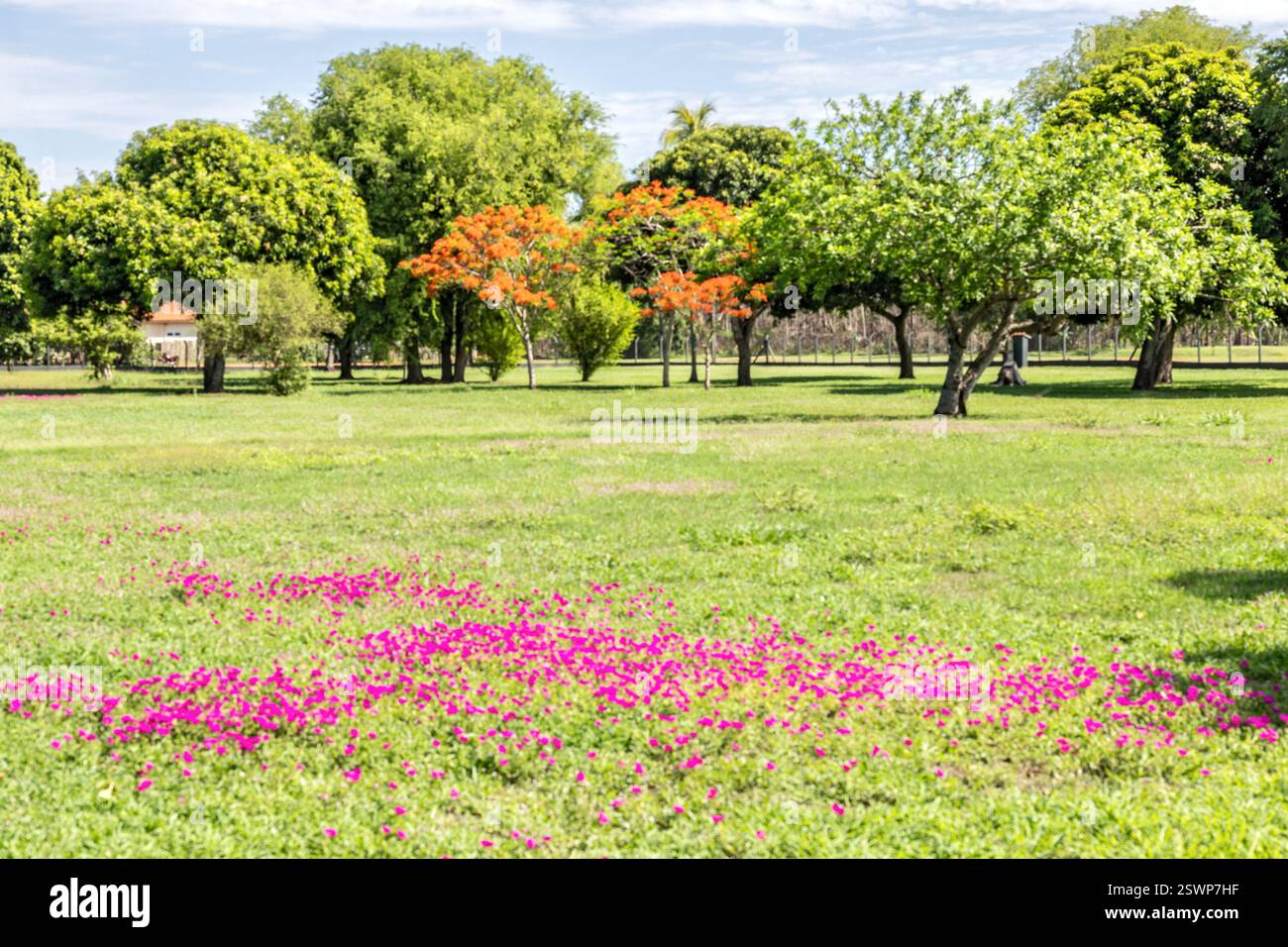 Caiman Ecological Refuge Lodge, Grounds, Landscape, Pantanal, Miranda, Mato grosso do sul, Brasile Foto Stock