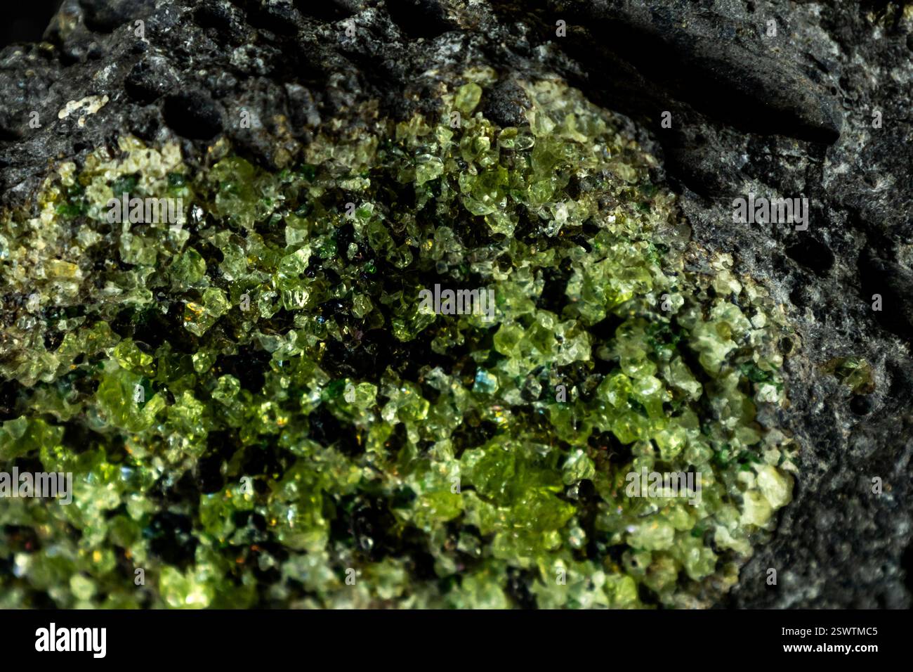 Primo piano di piccoli cristalli peridot verdi di qualità gemma con pochi cristalli olivini scuri Foto Stock