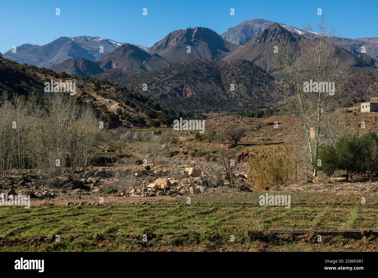 Tidili Nigouraine è un piccolo villaggio berbero nella regione dell'alto Atlante del Marocco. Foto Stock