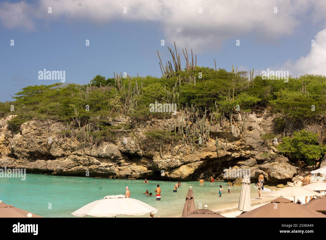 Turisti sulla spiaggia; cactus sullo sfondo CuraCao Foto Stock