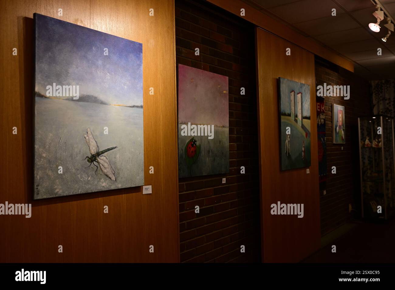 Markaryd, Kronoberg, Svezia. 21 febbraio 2025. Libreria Markaryd. Mostra d'arte. Foto Stock