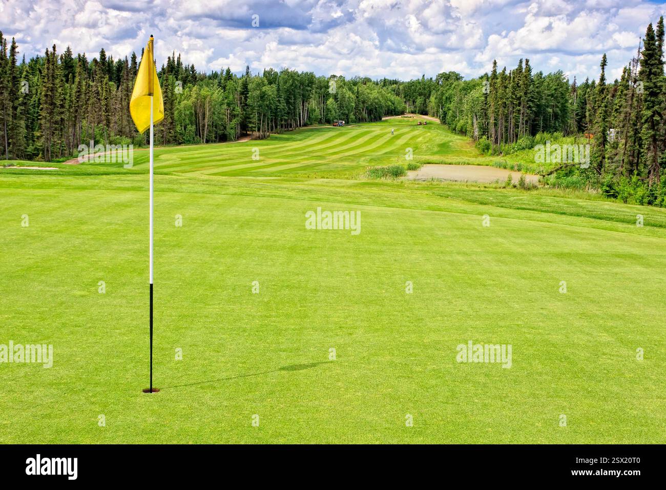 La bandiera gialla è su un campo da golf. La bandiera è su un tee e l'erba è verde Foto Stock