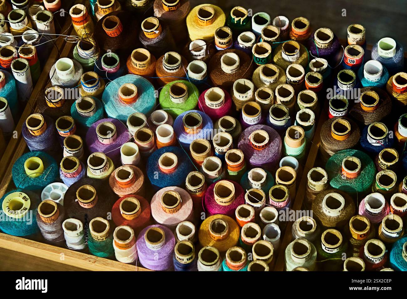 Bluebarry Foto Stock