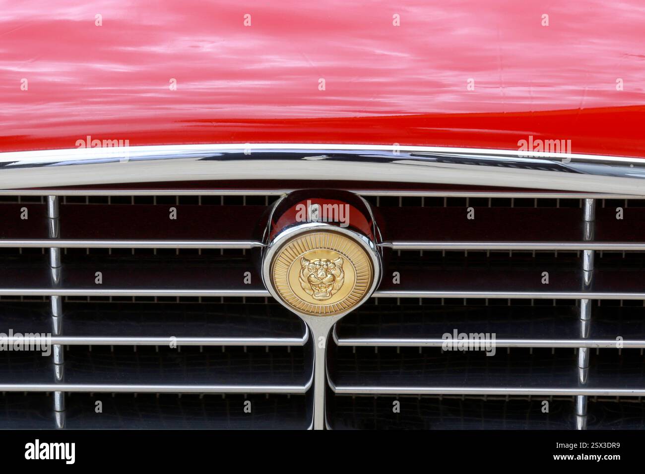 San Paolo, Brasile - 16 novembre 2020: Jaguar F-Type coupé, vista posteriore. Auto sportiva a due posti prodotta da British Jaguar Cars Foto Stock