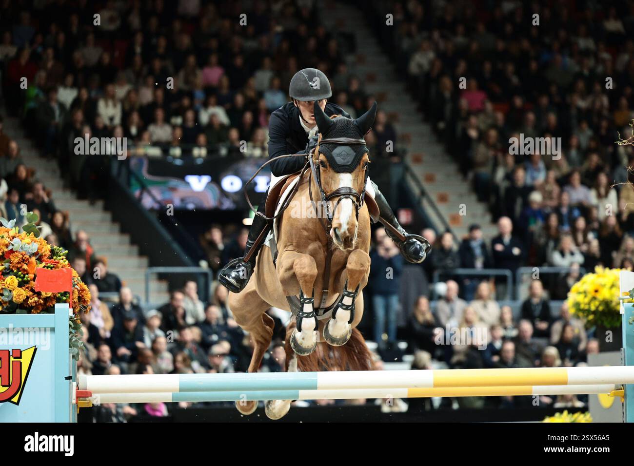 Gothenburg, Svezia. 22 febbraio 2025. Lars Kersten dei Paesi Bassi con la Regina Danzante durante il Gothenburg Trophy presentato da Volvo Cars al Gothenburg Horse Show il 22 febbraio 2025, Gothenburg, Svezia (foto di Maxime David - MXIMD Pictures) crediti: MXIMD Pictures/Alamy Live News Foto Stock