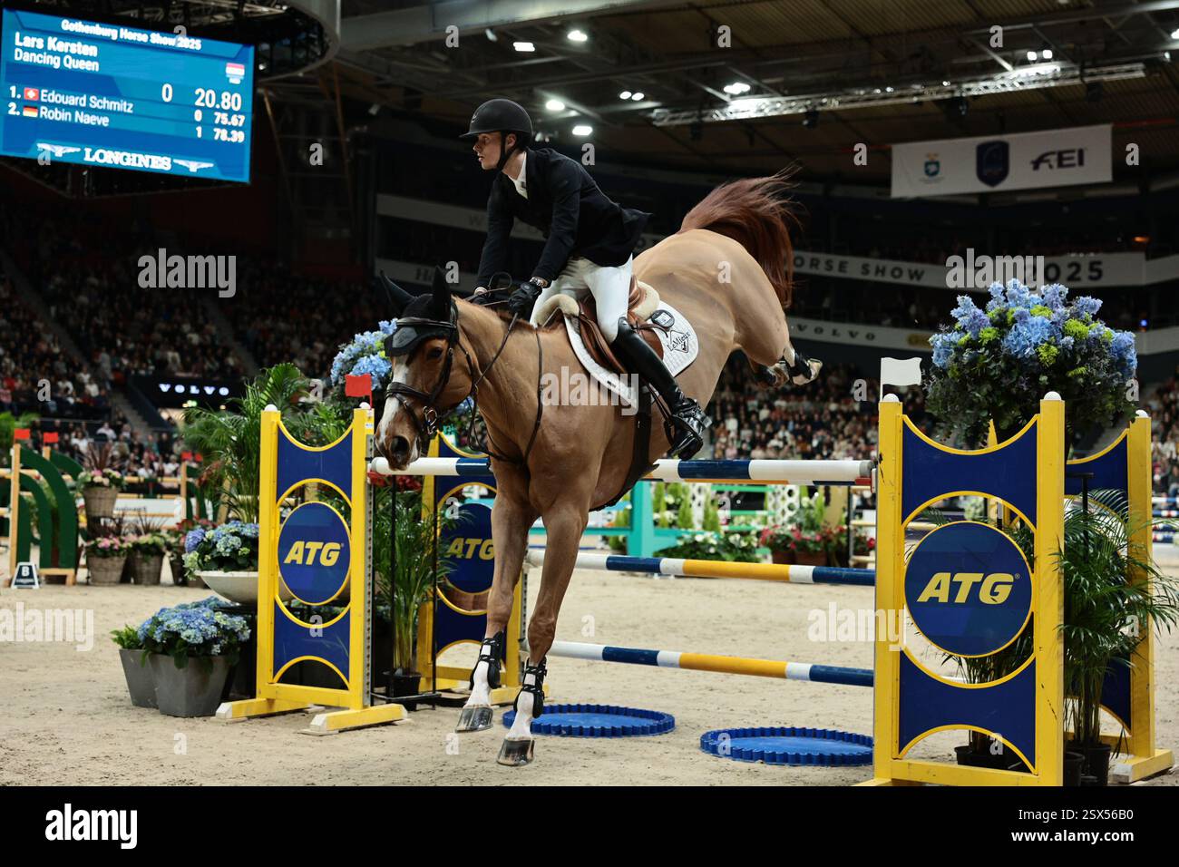 Gothenburg, Svezia. 22 febbraio 2025. Lars Kersten dei Paesi Bassi con la Regina Danzante durante il Gothenburg Trophy presentato da Volvo Cars al Gothenburg Horse Show il 22 febbraio 2025, Gothenburg, Svezia (foto di Maxime David - MXIMD Pictures) crediti: MXIMD Pictures/Alamy Live News Foto Stock