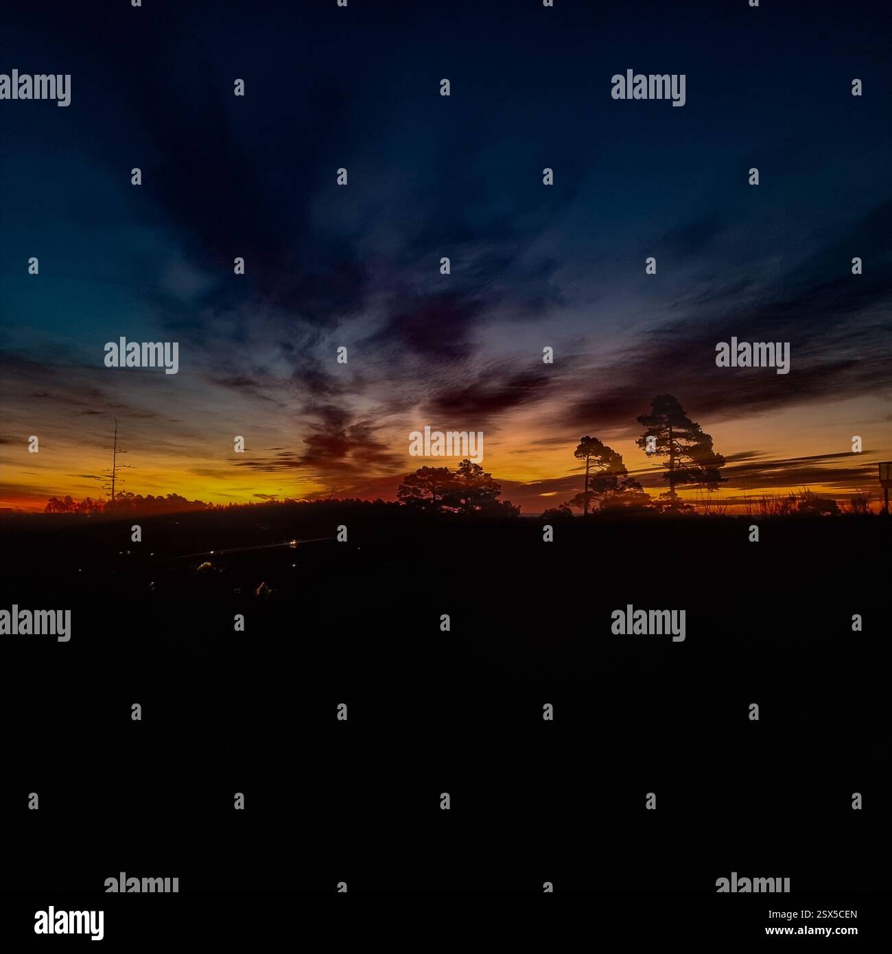 Una splendida alba proietta un caldo bagliore sugli alberi dalla silhouette. Il cielo è dipinto con profonde sfumature di rosso, viola e arancione, creando una mattinata drammatica. Foto Stock