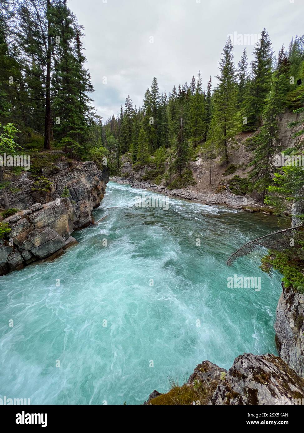 Un'ampia area del Maligne Canyon Foto Stock