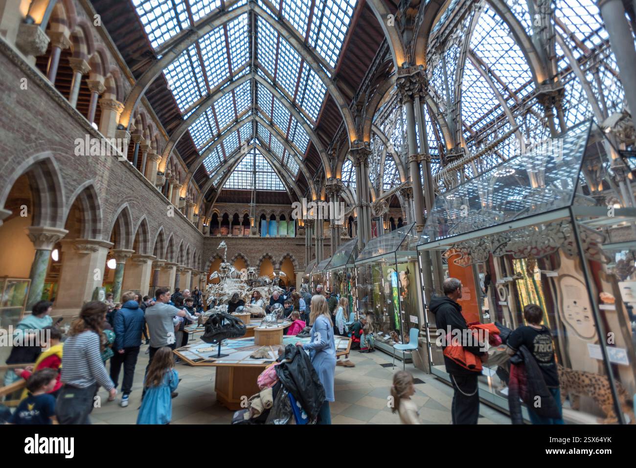 Il Museo di Storia Naturale a Oxford, Inghilterra Foto Stock