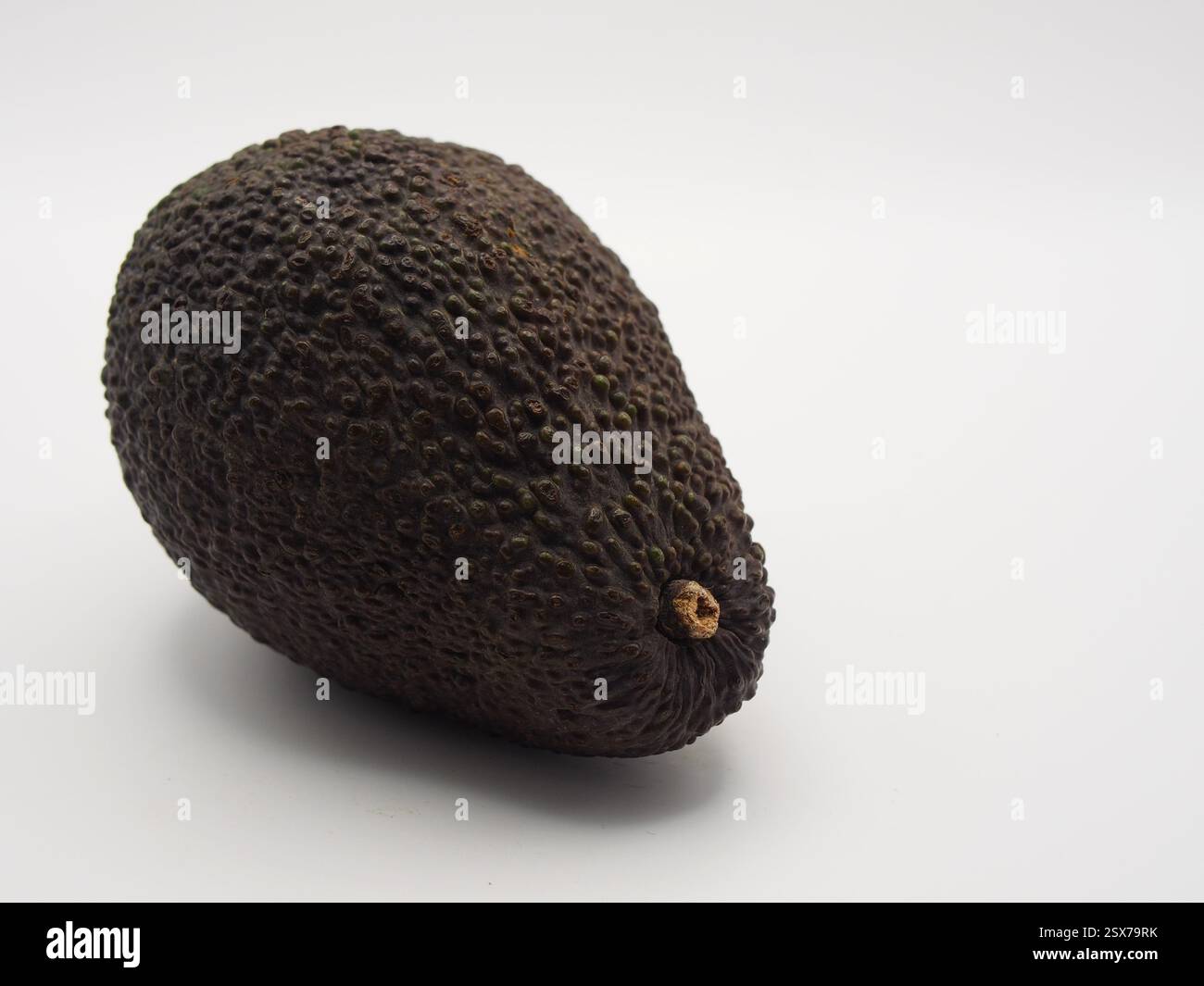 Primo piano isolato di un avocado Hass (persea americana Hass) visto da un lato su sfondo bianco. Concetto: Ingredienti, mangiare sano, cucinare, Foto Stock