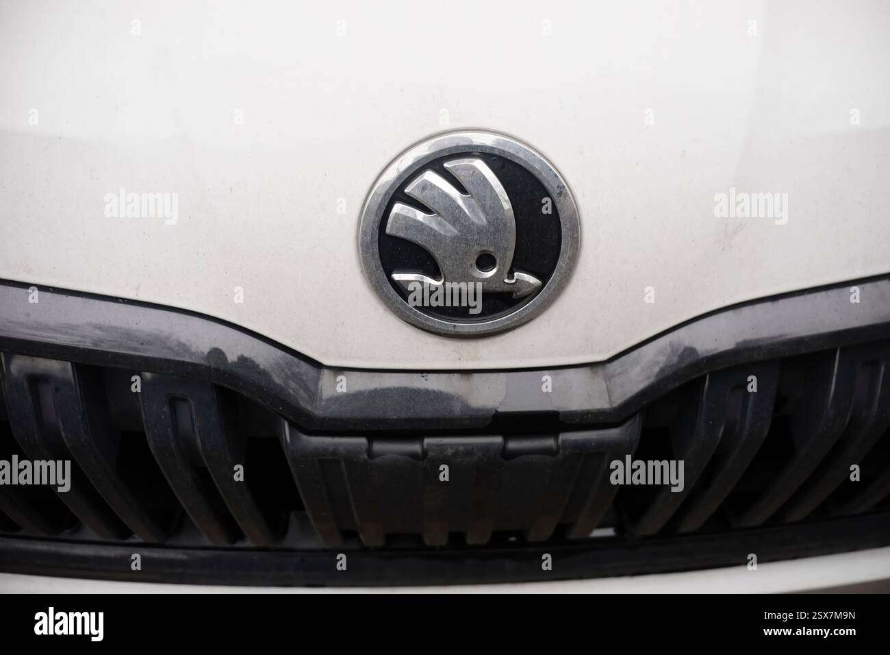 Cremona, Italia 9 febbraio 2025 il logo Skoda cromato è montato sul cofano di un'auto bianca, aggiungendo un tocco di eleganza al design del veicolo Foto Stock