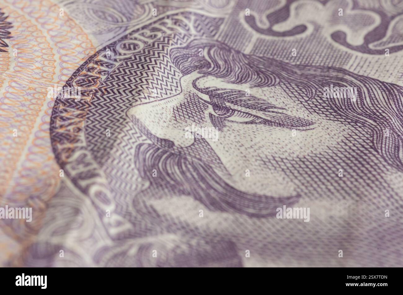 Soldi polacchi. Banconote in zloty.background polacco. Banca nazionale di Polonia. Soldi di carta. Risparmio. Inflazione in Polonia. Affari in Polonia. Polacco eco Foto Stock