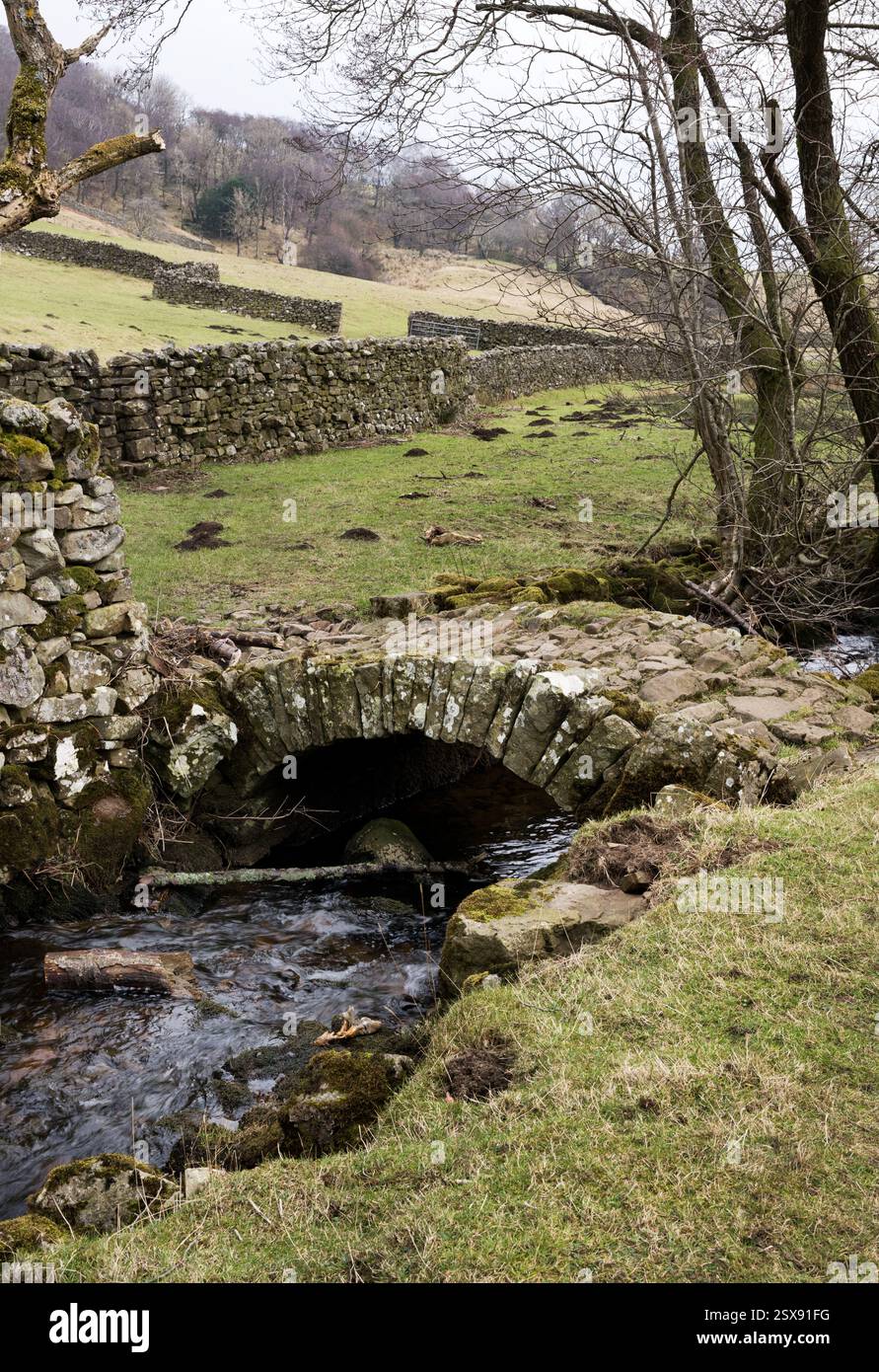 Vecchio ponte a cavallo su un sentiero pubblico, Thwaite, Swaledale, Yorkshire Dales National Park, Regno Unito Foto Stock