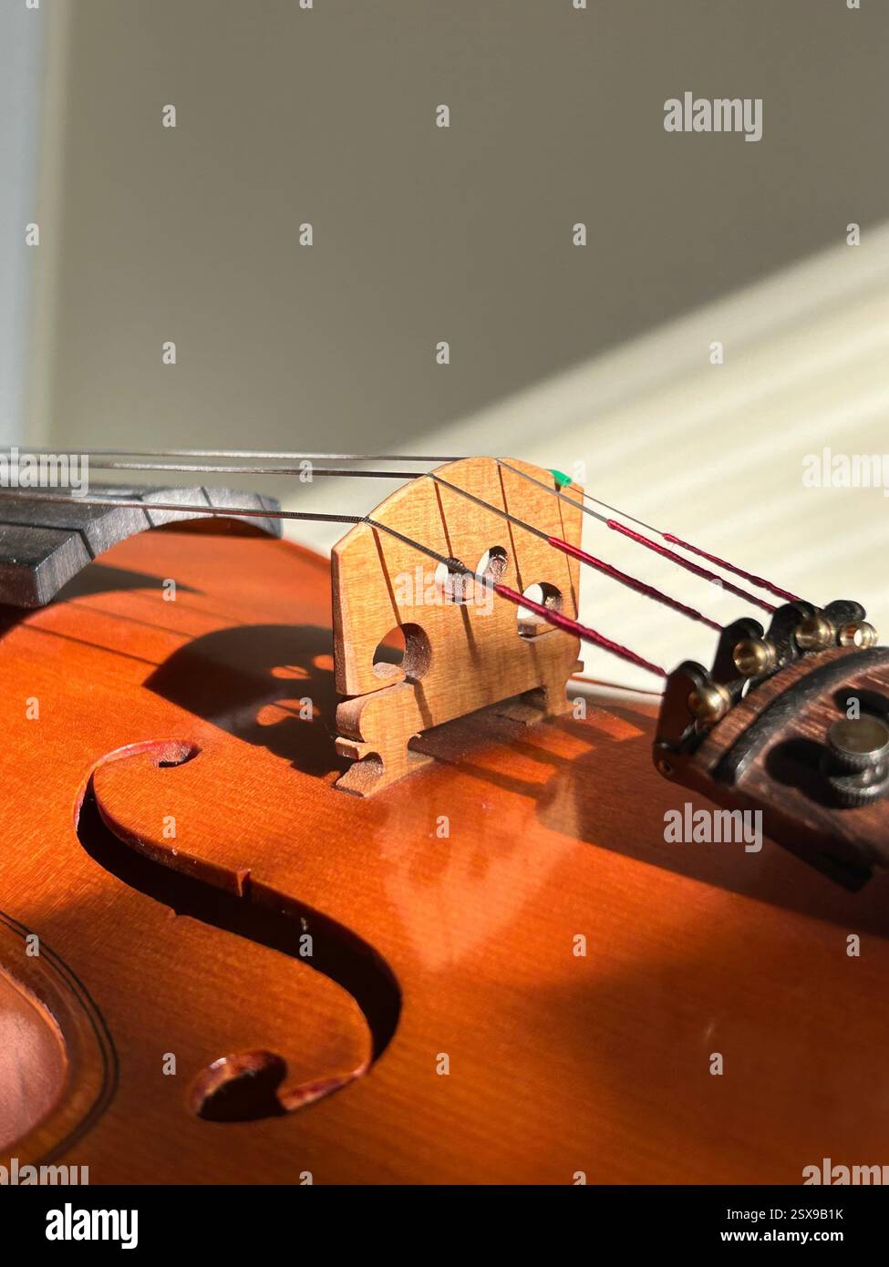 una foto ravvicinata della parte centrale del violino vintage in legno con curve, corde d'argento, portaarchi, legno arancione, arte musicale, performance, arte alla luce del sole Foto Stock
