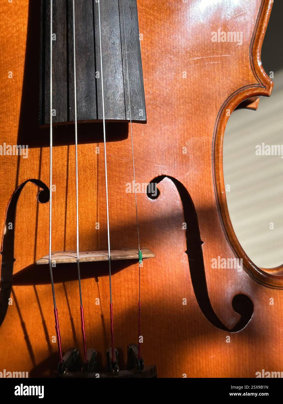 una foto ravvicinata della parte centrale del violino vintage in legno con curve, corde d'argento, portaarchi, legno arancione, arte musicale, performance, arte alla luce del sole Foto Stock