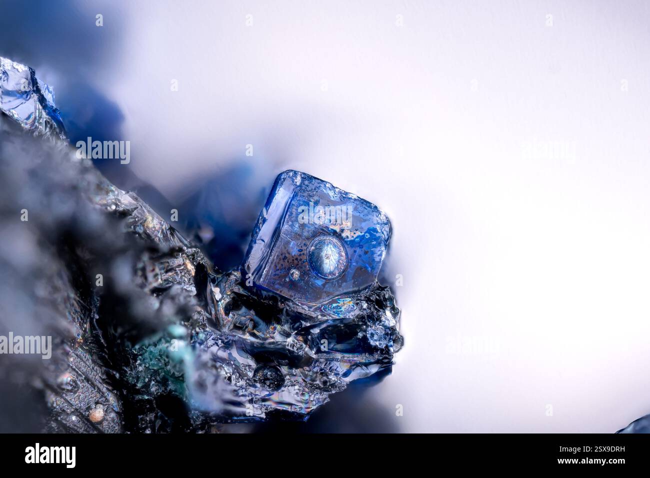 Hardystonite blu estremamente rara. Campione da Lichtloch 25, Hettstedt, Germania. Micro Photography primi piani estremi. foto al microscopio in cristallo minerale Foto Stock