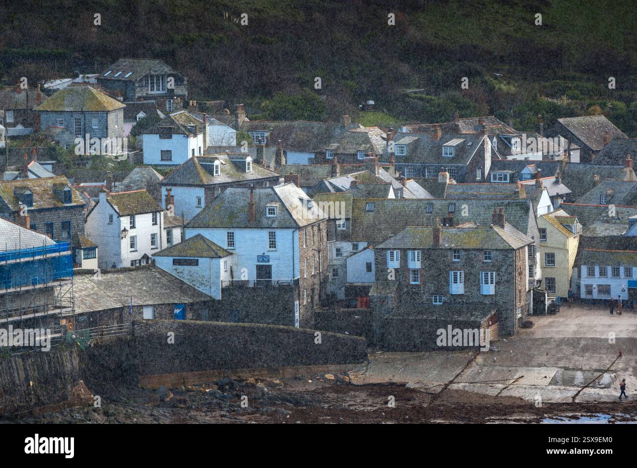 Radura piovana sul porto di Port Isaac, Port Isaac, Cornovaglia, regno unito Foto Stock