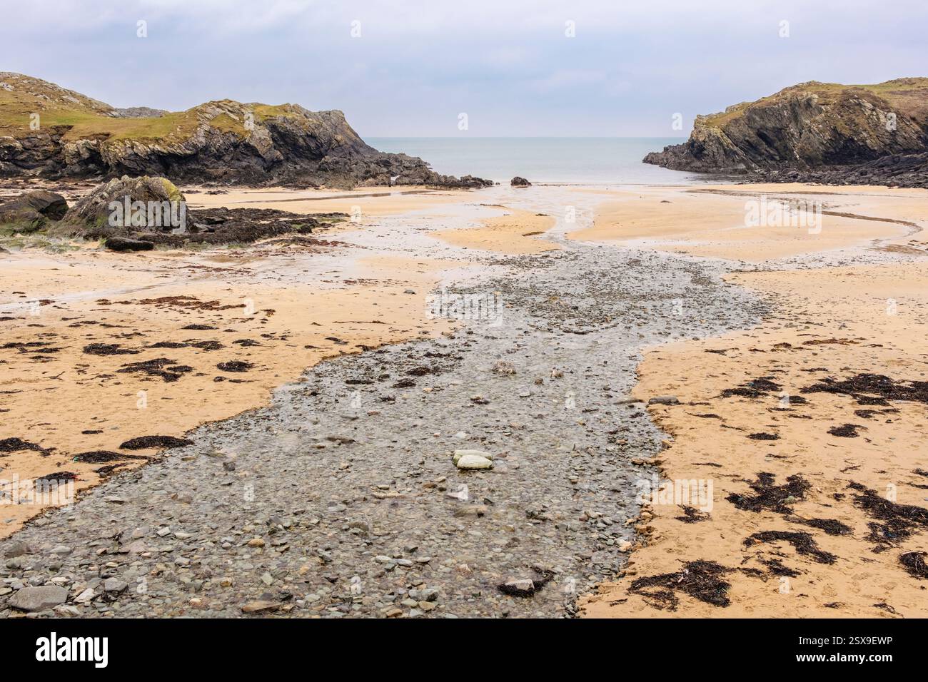 Vista della baia sabbiosa con la bassa marea sulla costa occidentale gallese. Porth Dafarch, Holyhead, Holy Island, Isola di Anglesey, Galles settentrionale, Regno Unito, Gran Bretagna Foto Stock