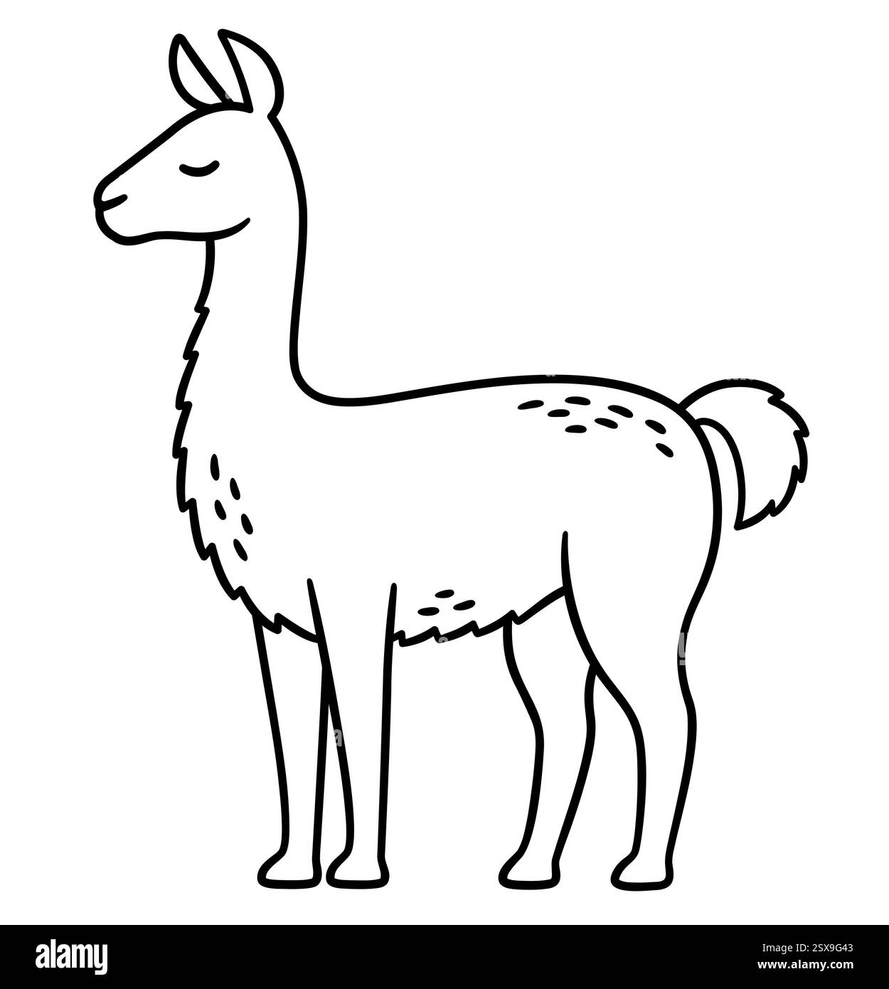 Guanaco (Lama guanicoe) lama selvatica sudamericana. Disegno di linee in bianco e nero. Simpatica illustrazione vettoriale dei cartoni animati. Illustrazione Vettoriale