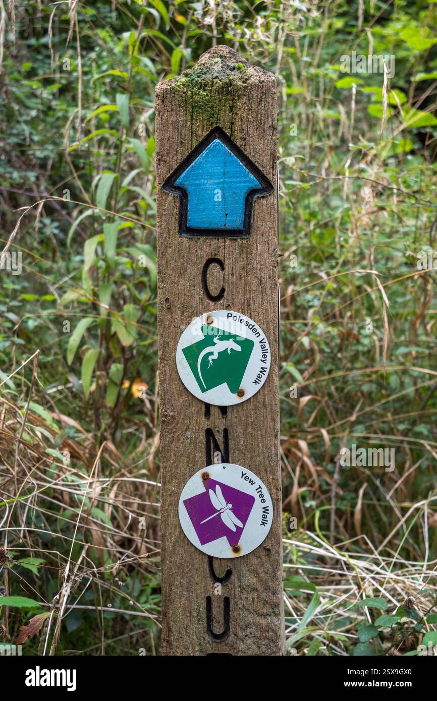 Un tipico palo pubblico con diverse indicazioni per i sentieri programmati nei pressi di East Horsley, Surrey, Regno Unito. Foto Stock