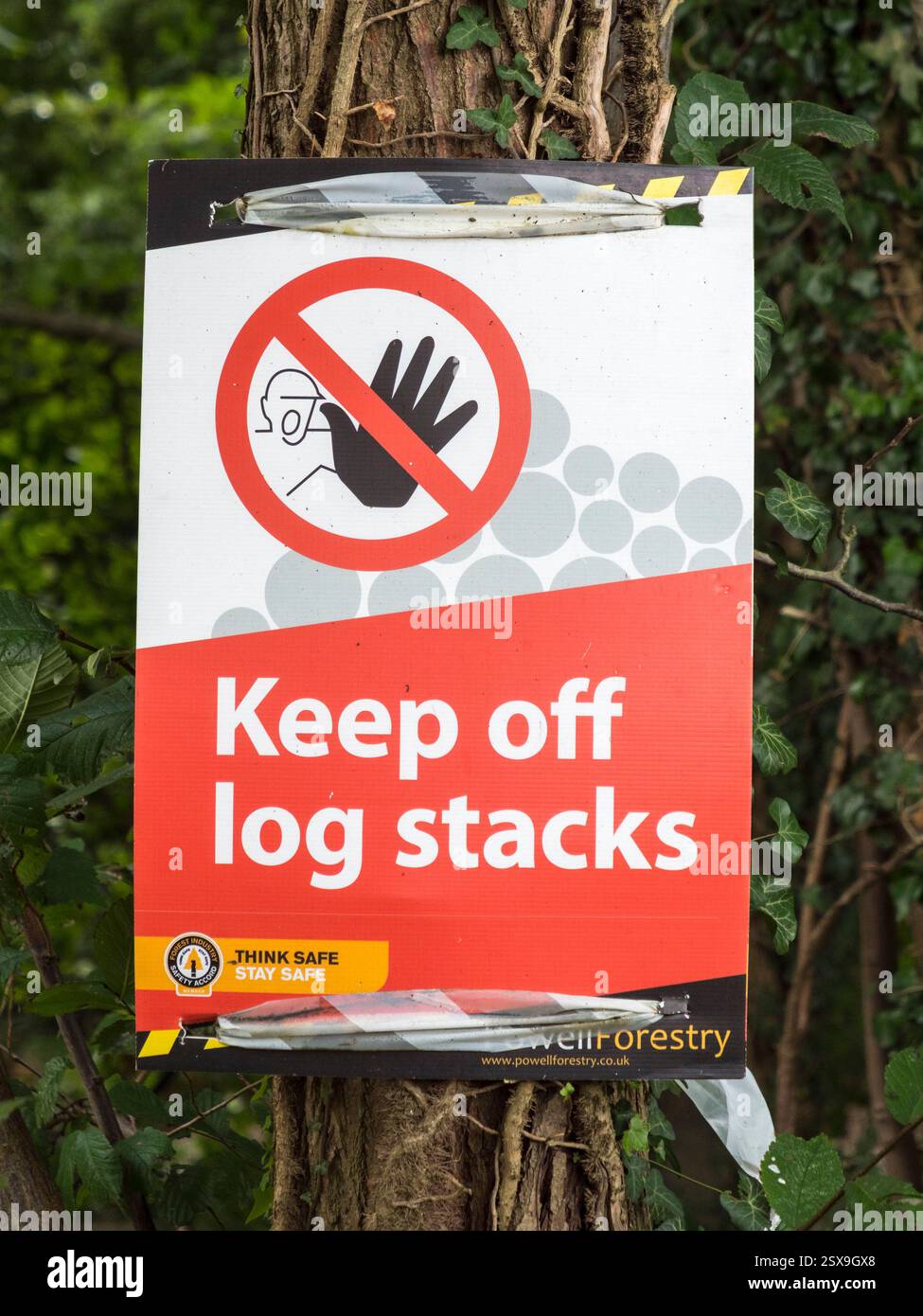 Cartello forestale "Keep Off Log Stacks" su un albero nelle Chiltern Hills vicino a Chesham, Buckinghamshire, Regno Unito. Foto Stock